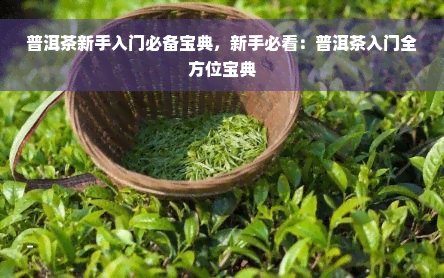 普洱茶新手入门必备宝典，新手必看：普洱茶入门全方位宝典