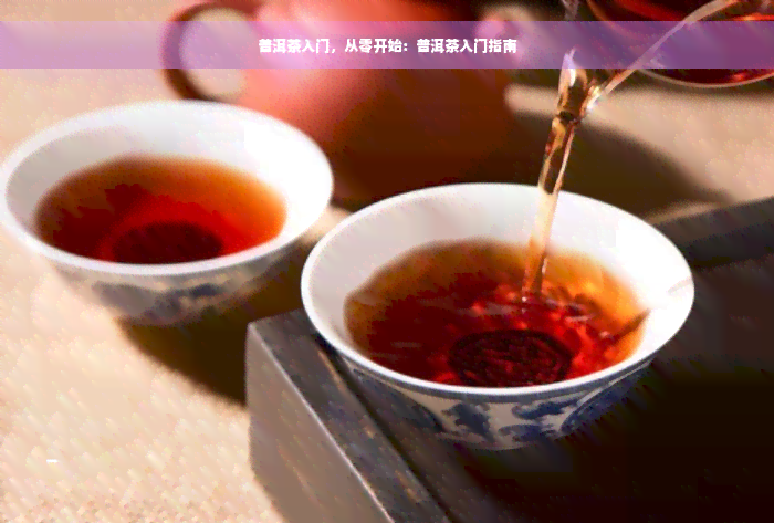 普洱茶入门，从零开始：普洱茶入门指南