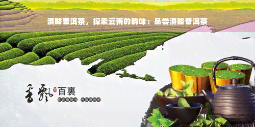 滇略普洱茶，探索云南的韵味：品尝滇略普洱茶