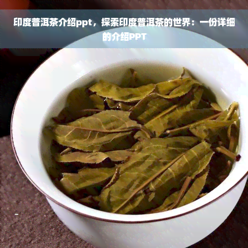 印度普洱茶介绍ppt，探索印度普洱茶的世界：一份详细的介绍PPT