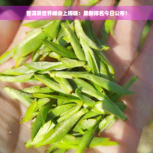 普洱茶世界峰会上揭晓：最新排名今日公布！