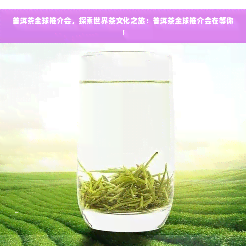 普洱茶全球推介会，探索世界茶文化之旅：普洱茶全球推介会在等你！