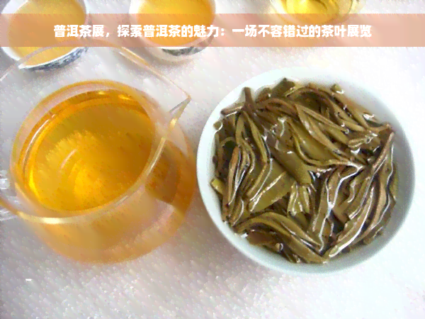 普洱茶展，探索普洱茶的魅力：一场不容错过的茶叶展览