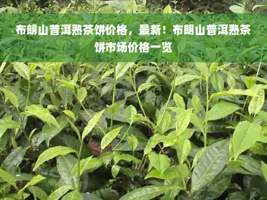 布朗山普洱熟茶饼价格，最新！布朗山普洱熟茶饼市场价格一览