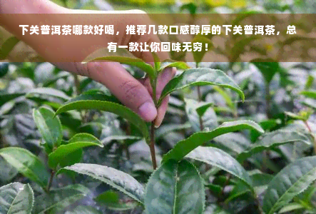 下关普洱茶哪款好喝，推荐几款口感醇厚的下关普洱茶，总有一款让你回味无穷！