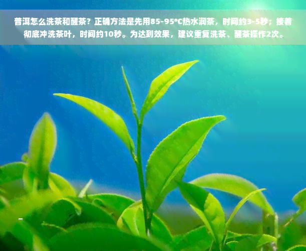 普洱怎么洗茶和醒茶？正确方法是先用85-95℃热水润茶，时间约3-5秒；接着彻底冲洗茶叶，时间约10秒。为达到效果，建议重复洗茶、醒茶操作2次。