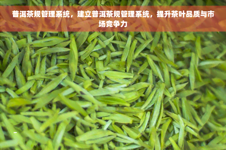 普洱茶规管理系统，建立普洱茶规管理系统，提升茶叶品质与市场竞争力