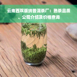 云南西双版纳普洱茶厂：熟茶品质、公司介绍及价格查询