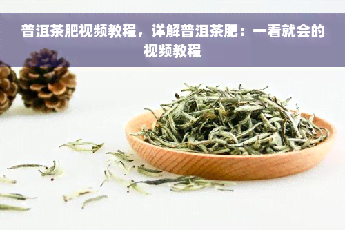 普洱茶肥视频教程，详解普洱茶肥：一看就会的视频教程