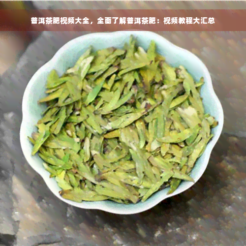 普洱茶肥视频大全，全面了解普洱茶肥：视频教程大汇总