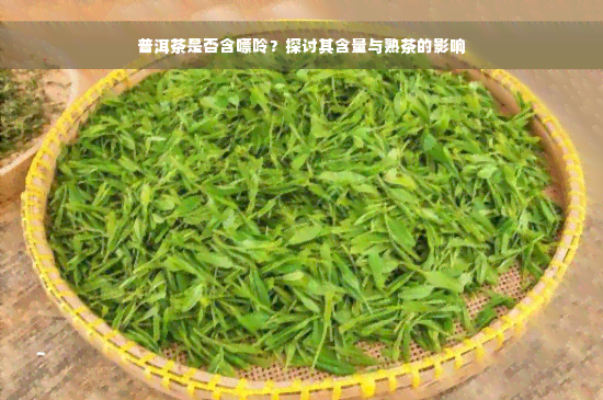 普洱茶是否含嘌呤？探讨其含量与熟茶的影响