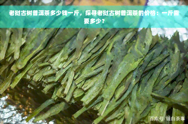 老挝古树普洱茶多少钱一斤，探寻老挝古树普洱茶的价格：一斤需要多少？