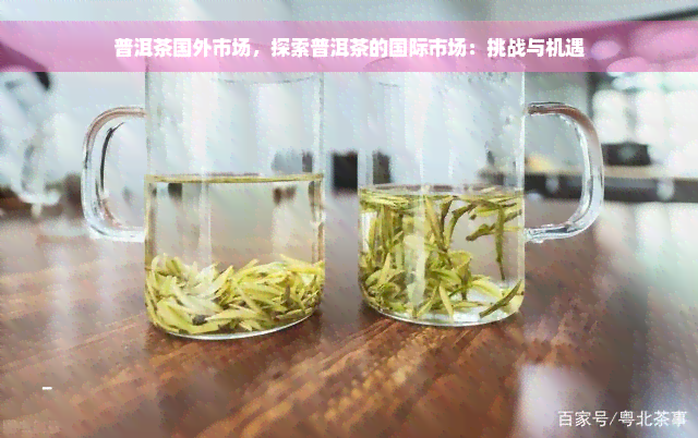 普洱茶国外市场，探索普洱茶的国际市场：挑战与机遇