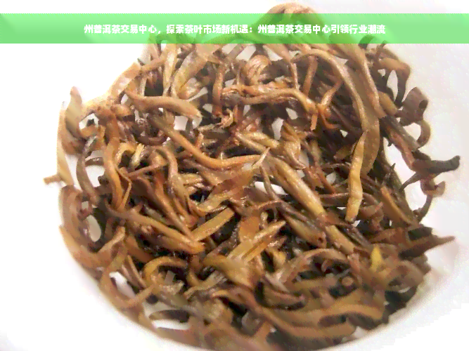 州普洱茶交易中心，探索茶叶市场新机遇：州普洱茶交易中心引领行业潮流