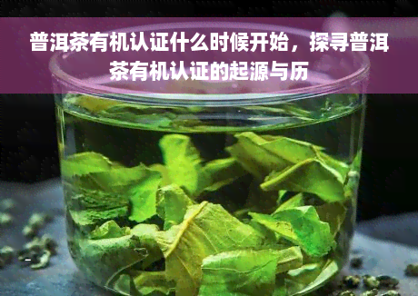 普洱茶有机认证什么时候开始，探寻普洱茶有机认证的起源与历