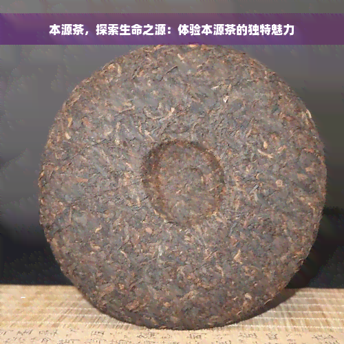 本源茶，探索生命之源：体验本源茶的独特魅力