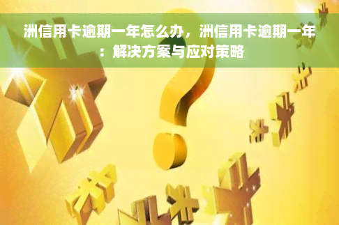 洲信用卡逾期一年怎么办，洲信用卡逾期一年：解决方案与应对策略