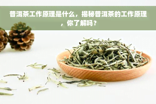 普洱茶工作原理是什么，揭秘普洱茶的工作原理，你了解吗？