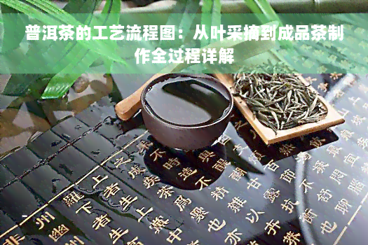 普洱茶的工艺流程图：从叶采摘到成品茶制作全过程详解