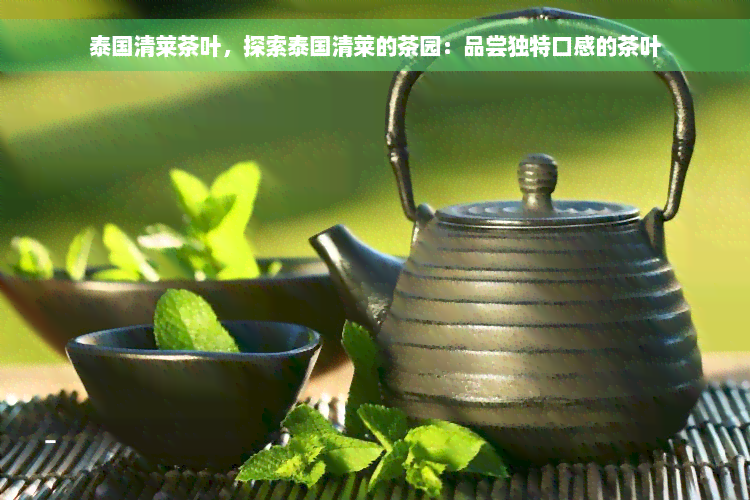 泰国清莱茶叶，探索泰国清莱的茶园：品尝独特口感的茶叶