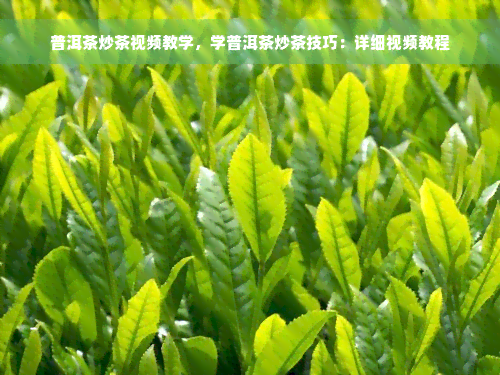 普洱茶炒茶视频教学，学普洱茶炒茶技巧：详细视频教程