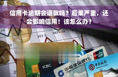 信用卡逾期会退款吗？后果严重，还会影响信用！该怎么办？