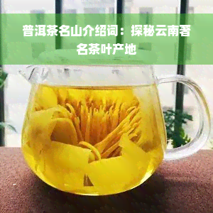 普洱茶名山介绍词：探秘云南著名茶叶产地