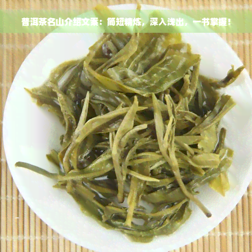 普洱茶名山介绍文案：简短精炼，深入浅出，一书掌握！