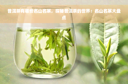 普洱茶有哪些名山名寨，探秘普洱茶的世界：名山名寨大盘点