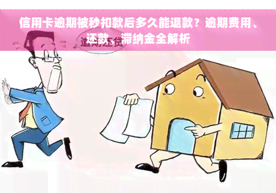 信用卡逾期被秒扣款后多久能退款？逾期费用、还款、滞纳金全解析