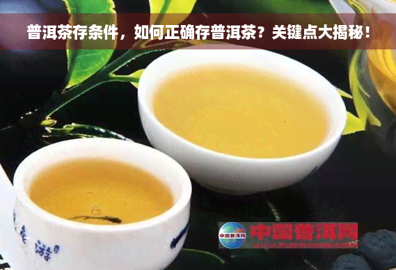 普洱茶存条件，如何正确存普洱茶？关键点大揭秘！