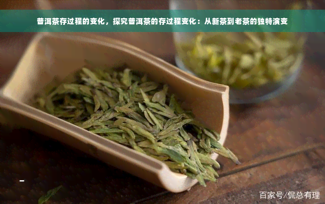 普洱茶存过程的变化，探究普洱茶的存过程变化：从新茶到老茶的独特演变