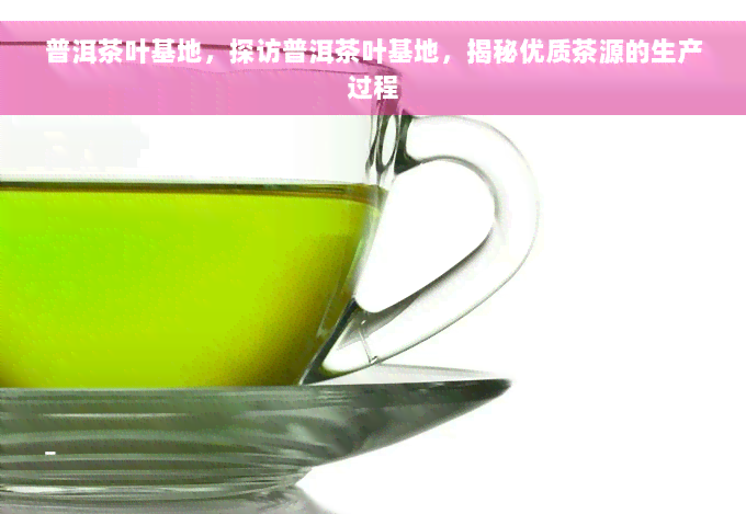 普洱茶叶基地，探访普洱茶叶基地，揭秘优质茶源的生产过程