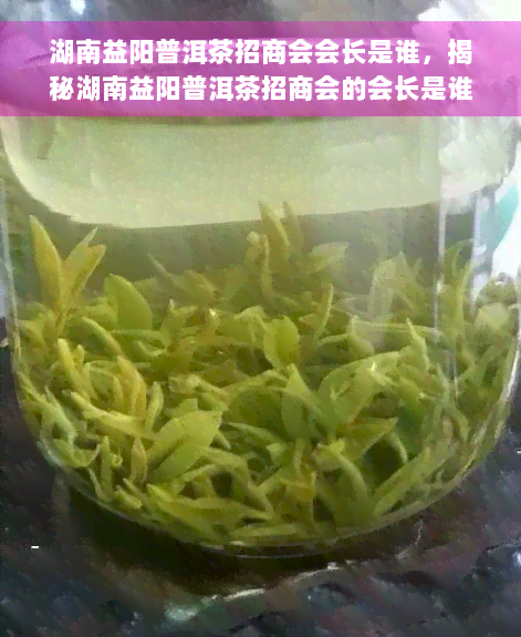 湖南益阳普洱茶招商会会长是谁，揭秘湖南益阳普洱茶招商会的会长是谁？