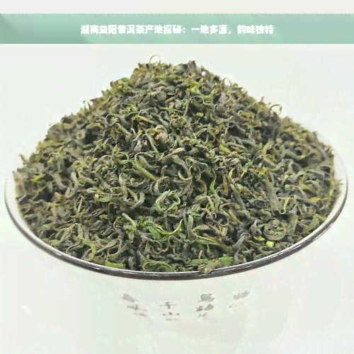 湖南益阳普洱茶产地探秘：一地多源，韵味独特