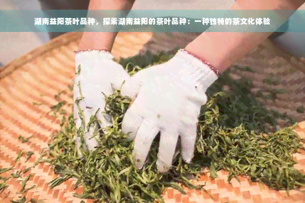 湖南益阳茶叶品种，探索湖南益阳的茶叶品种：一种独特的茶文化体验