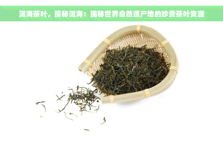 洱海茶叶，探秘洱海：揭秘世界自然遗产地的珍贵茶叶资源