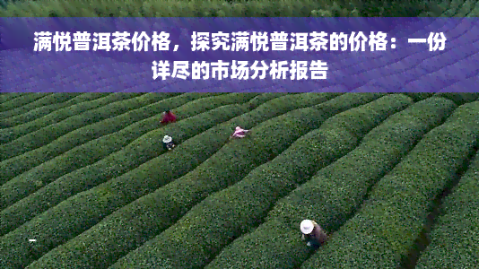 满悦普洱茶价格，探究满悦普洱茶的价格：一份详尽的市场分析报告