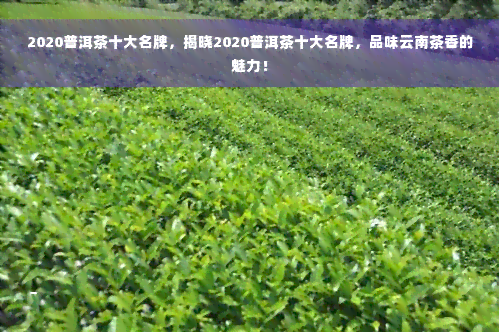 2020普洱茶十大名牌，揭晓2020普洱茶十大名牌，品味云南茶香的魅力！