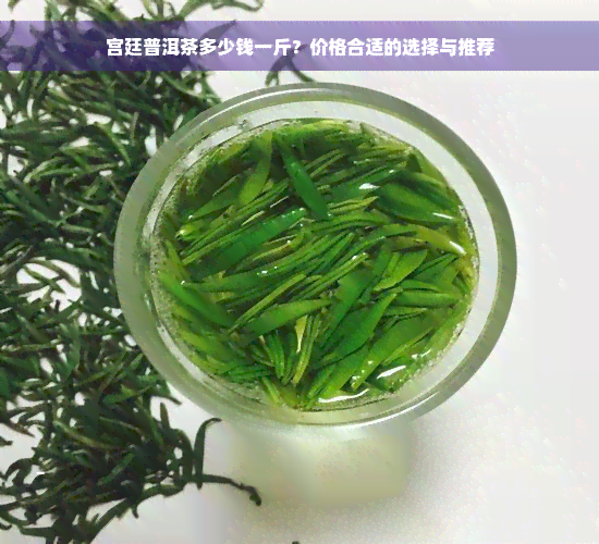 宫廷普洱茶多少钱一斤？价格合适的选择与推荐