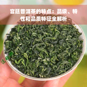 宫廷普洱茶的特点：品级、特性和品质特征全解析