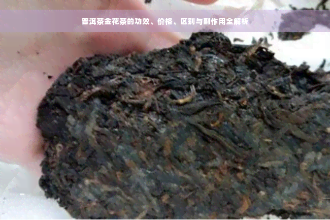 普洱茶金花茶的功效、价格、区别与副作用全解析