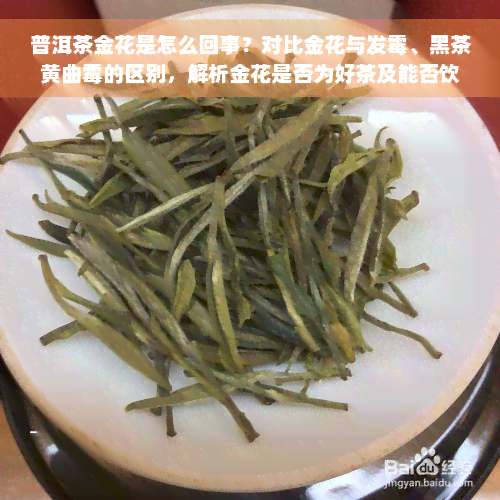 普洱茶金花是怎么回事？对比金花与发霉、黑茶黄曲霉的区别，解析金花是否为好茶及能否饮用