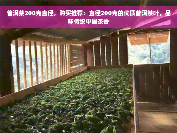 普洱茶200克直径，购买推荐：直径200克的优质普洱茶叶，品味传统中国茶香