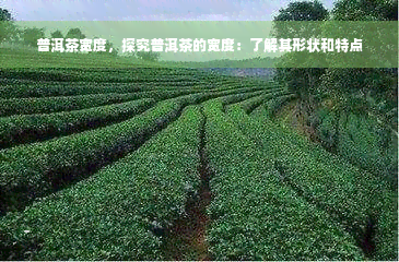 普洱茶宽度，探究普洱茶的宽度：了解其形状和特点