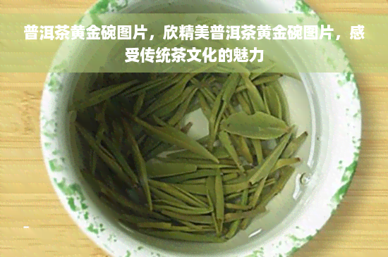 普洱茶黄金碗图片，欣精美普洱茶黄金碗图片，感受传统茶文化的魅力