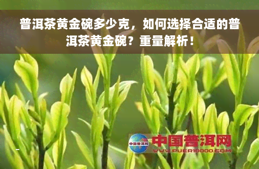 普洱茶黄金碗多少克，如何选择合适的普洱茶黄金碗？重量解析！