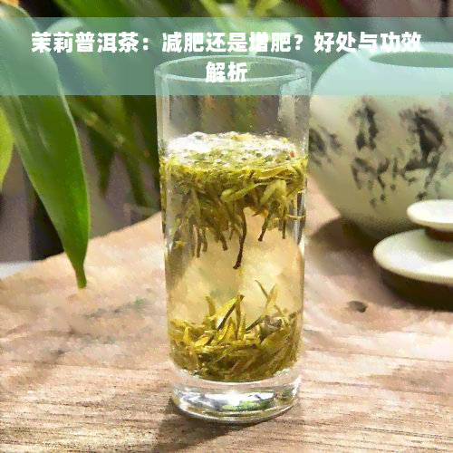 茉莉普洱茶：减肥还是增肥？好处与功效解析