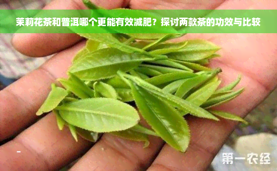 茉莉花茶和普洱哪个更能有效减肥？探讨两款茶的功效与比较