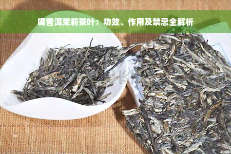 喝普洱茉莉茶叶：功效、作用及禁忌全解析